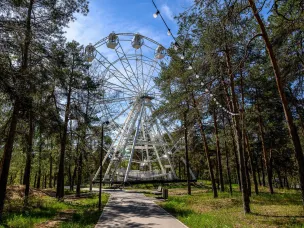 Проекты, связанные с отдыхом, развлечениями и спортом  получили дополнительные льготы