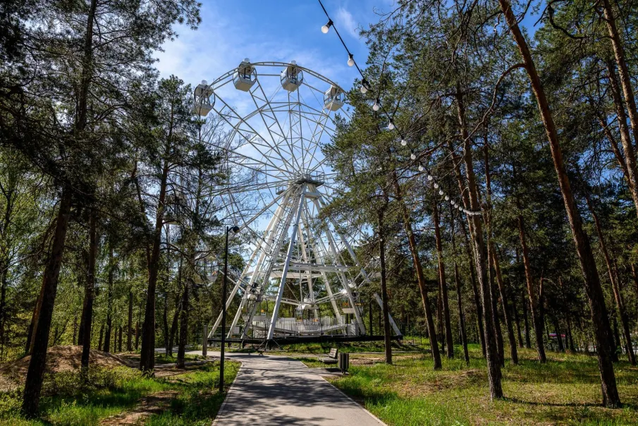 Проекты, связанные с отдыхом, развлечениями и спортом  получили дополнительные льготы