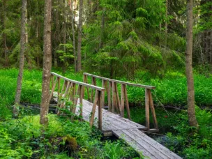 В Нижегородский области разработали проект развития молодежного походного туризма «Шаг за шагом»