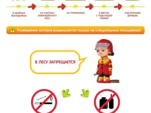 Установление на территории Нижегородской области особого противопожарного режима